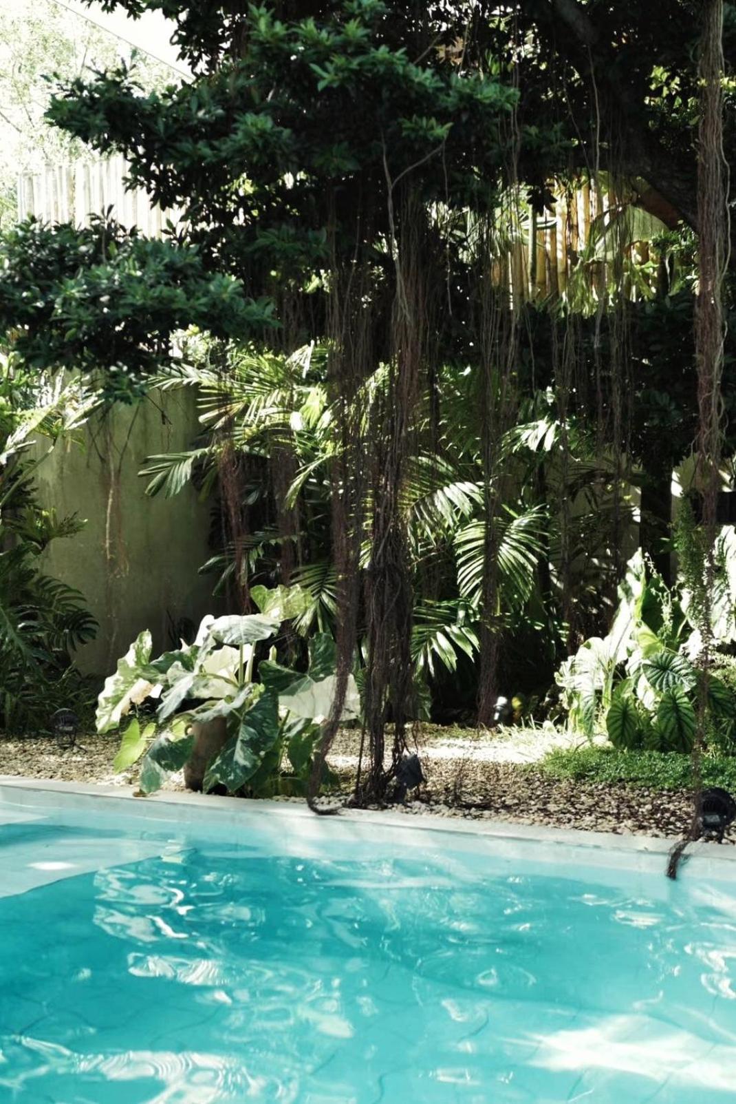 Banyan Villa Panglao With Private Pool 외부 사진